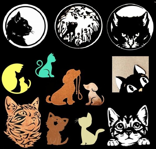 Katze hund haustiere - hund",